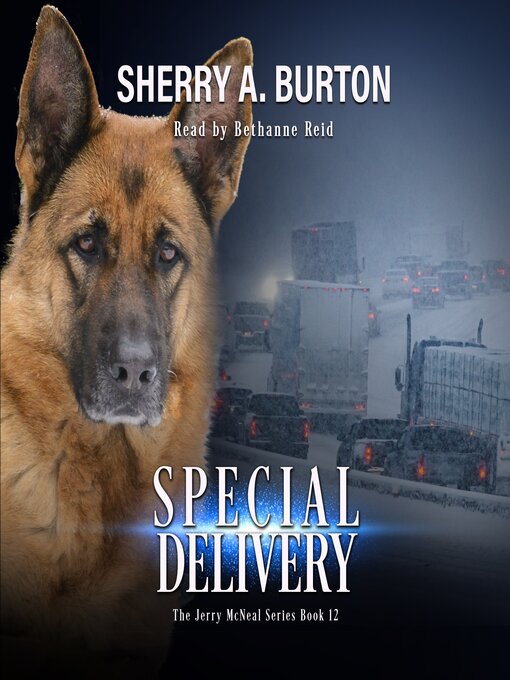 Title details for Special Delivery by Sherry A. Burton - Available